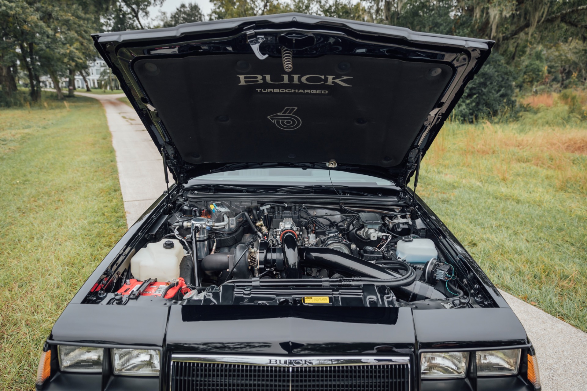 1986 Buick Regal photo 59